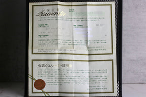1997 ROLEX 16570 Explorer II Polar Holes Case with Papers